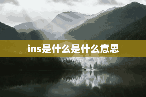 ins是什么是什么意思